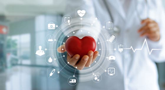 A person in a white coat holds a plastic red heart