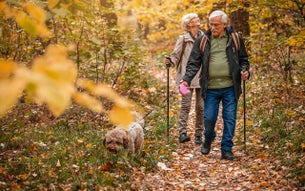 Oudere man en vrouw lopen met een hond door het bos.