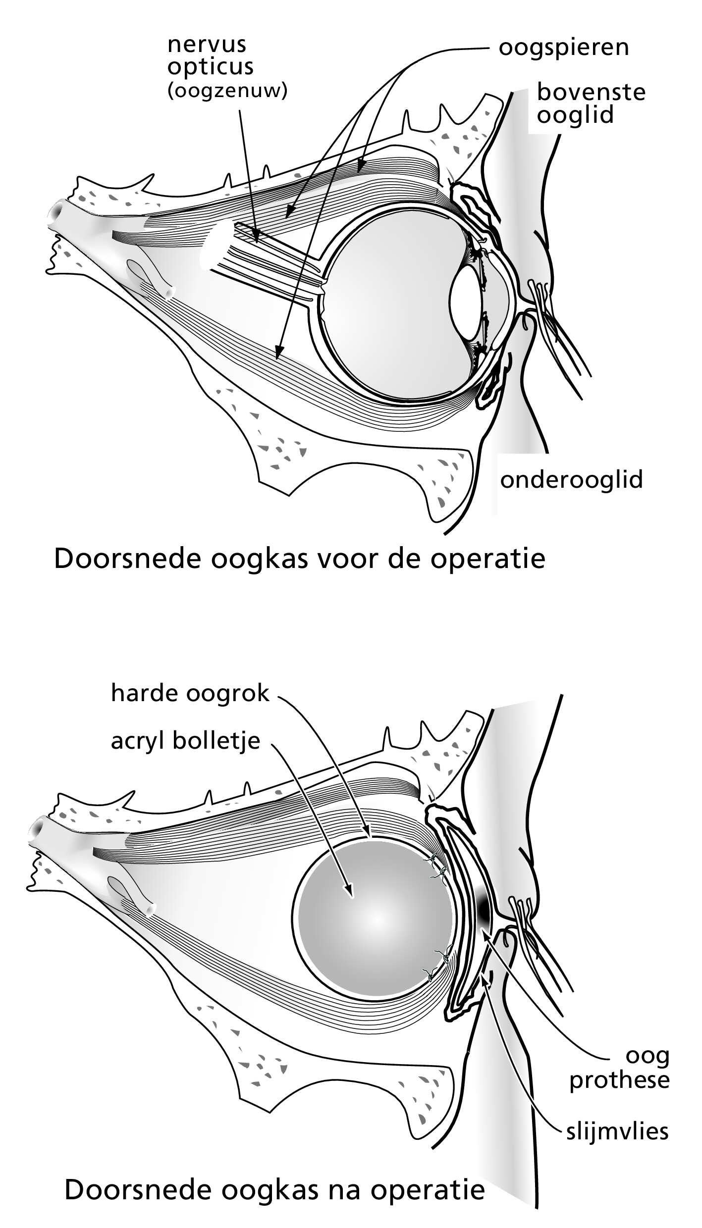 Generieke content afbeelding