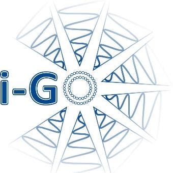 logo i-GO studie