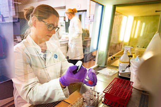 Scientist in lab coat and gloves analyzing samples in a medical laboratory with another researcher in the background