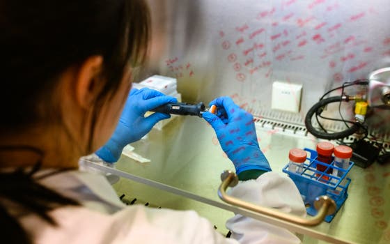 Researcher in a lab.