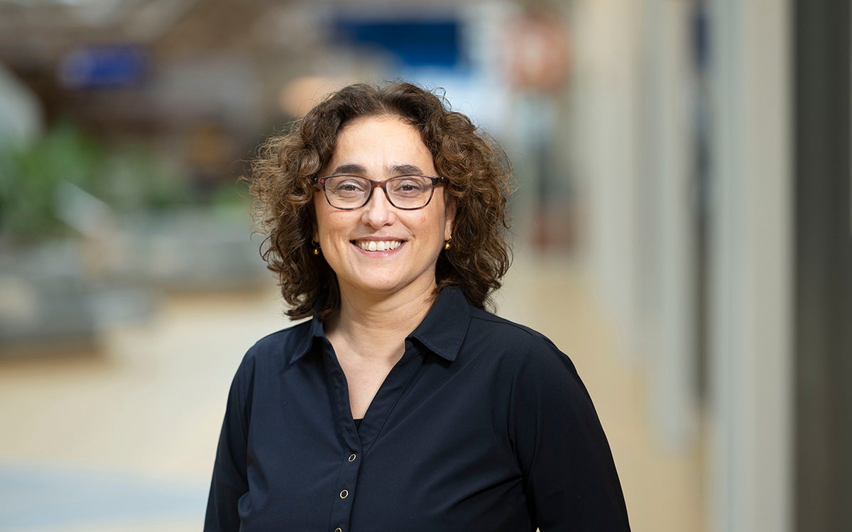 Gönül Dilaver