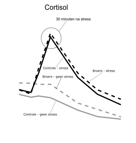 De reactie van cortisol op stress-ervaring