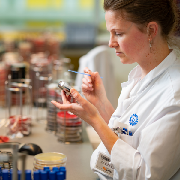 Onderzoeker in een laboratorium houdt een petrischaaltje en een stokje vast en kijkt in het schaaltje.