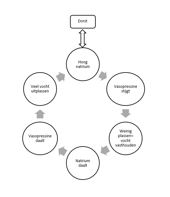 Generieke content afbeelding