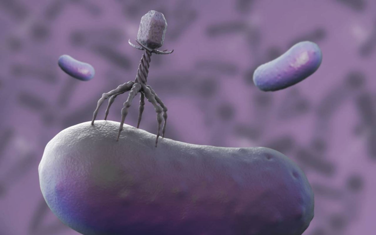 3D rendering van een bacteriofaag.