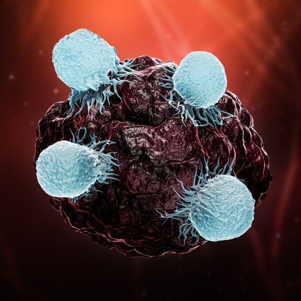 3D afbeelding van een tumor die aangevallen wordt door witte bloedcellen.