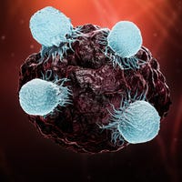 3D image of a tumor being attacked by white blood cells.