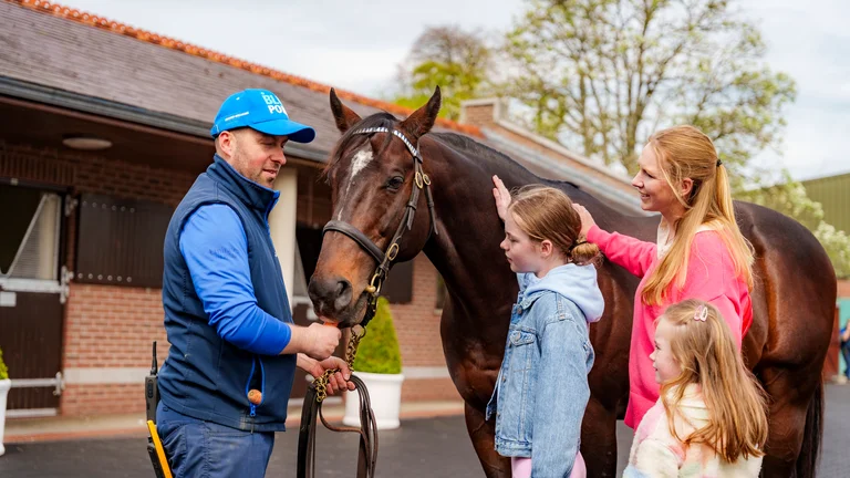 Horse Country New Experience Development Programme