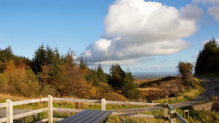 Develop a destination and placemaking plan for Patrick Kavanagh Country