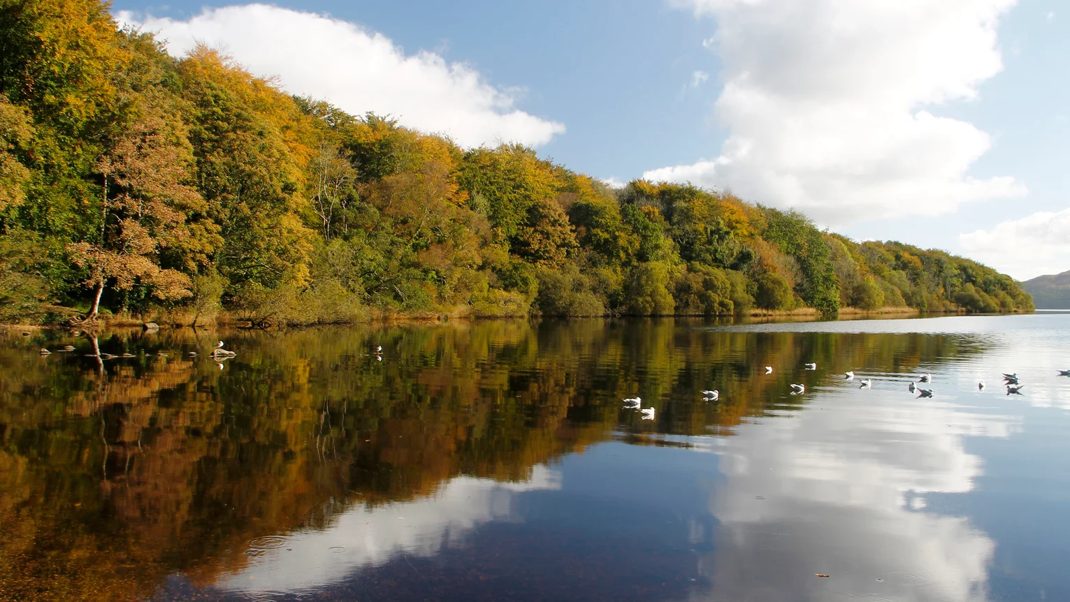 Attraction of scale: Hazelwood Demesne