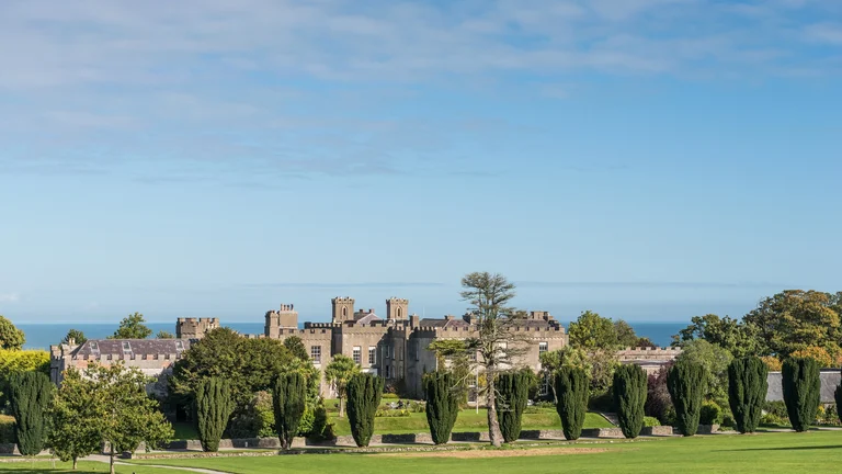 A large castle with trees and grass