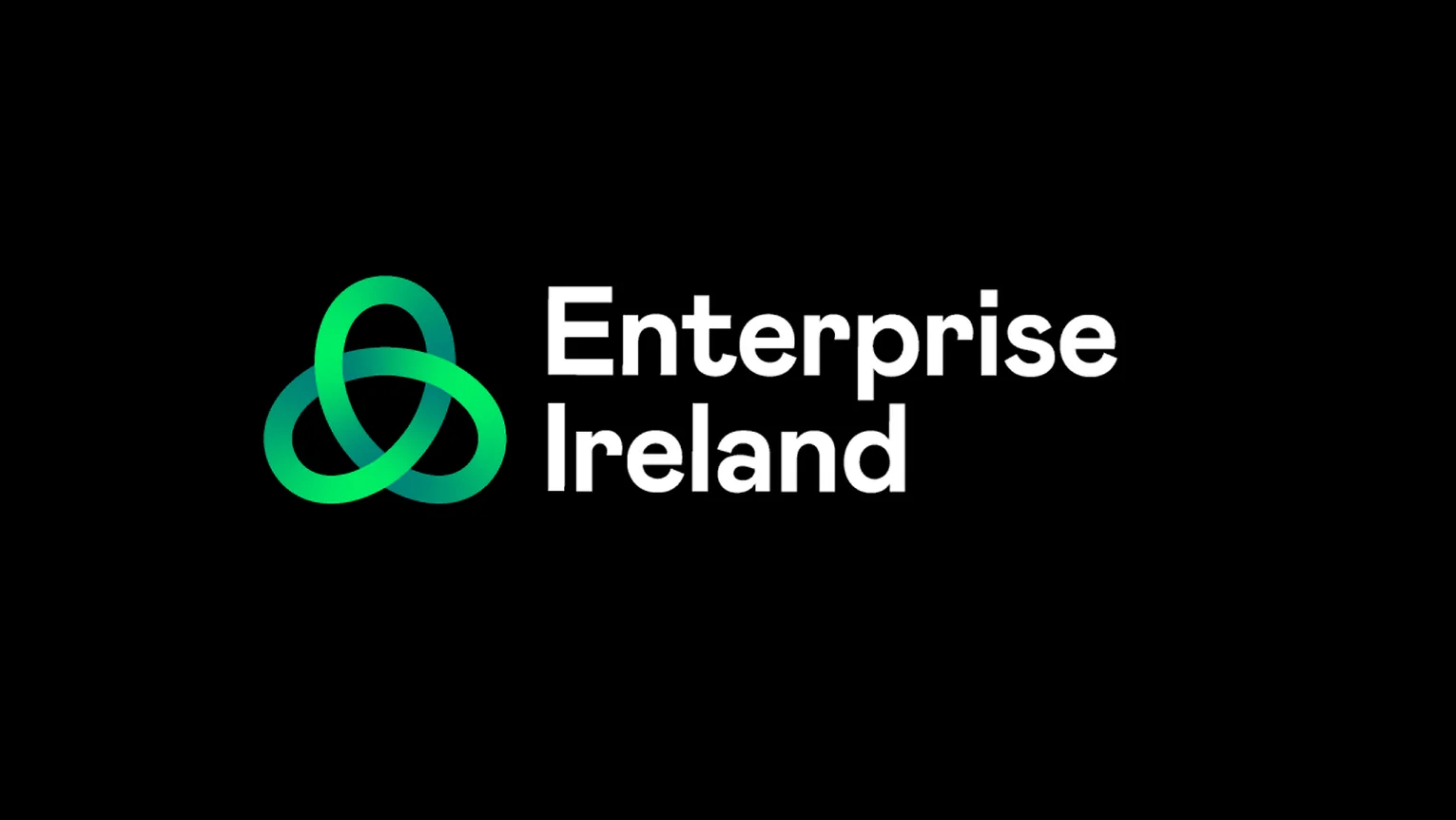 LeanPlus business grant
