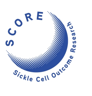 Inschrijfkosten SCORE symposium 2025