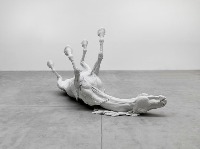 Daphne Wright, Stallion, 2009, Marble dust and resin, IMMA Collection, Purchase, 2023. Image © the artist. Courtesy the artist and Frith Street Gallery, London. Photo Credit: Alex Delfanne. Commissioned by Carlow County Council