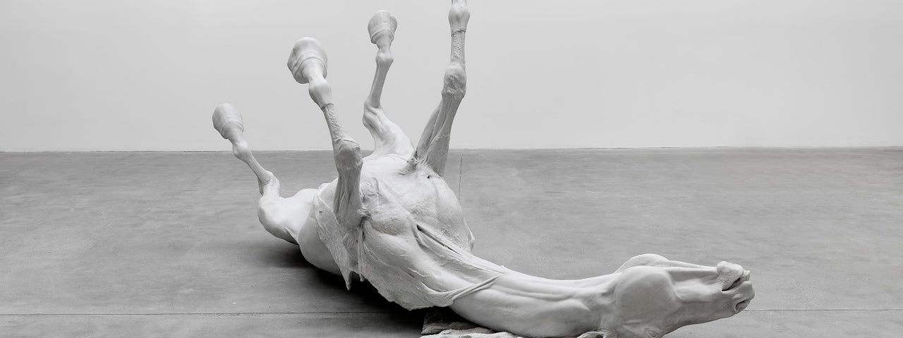 Daphne Wright, Stallion, 2009, Marble dust and resin, IMMA Collection, Purchase, 2023. Image © the artist. Courtesy the artist and Frith Street Gallery, London. Photo Credit: Alex Delfanne. Commissioned by Carlow County Council