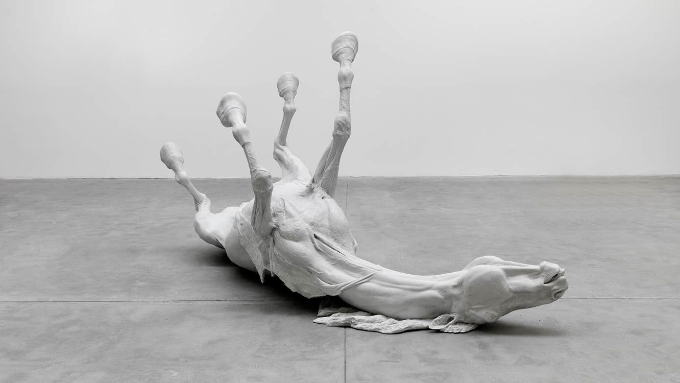 Daphne Wright, Stallion, 2009, Marble dust and resin, IMMA Collection, Purchase, 2023. Image © the artist. Courtesy the artist and Frith Street Gallery, London. Photo Credit: Alex Delfanne. Commissioned by Carlow County Council