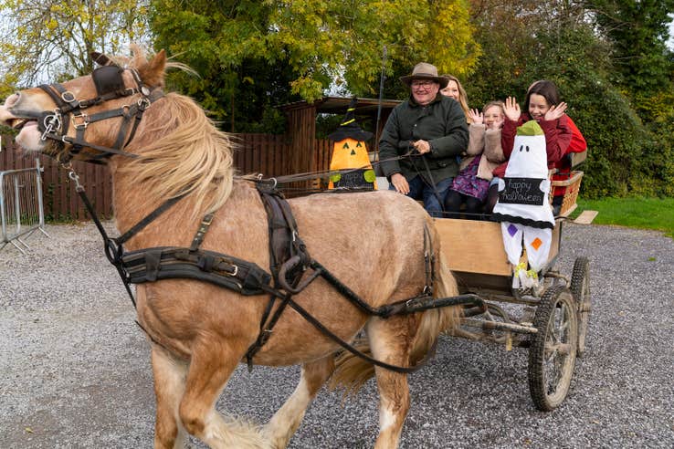 A family going on a Halloween-themed horse-led carriage at Red Mountain Open Farm in Donore, County Meath