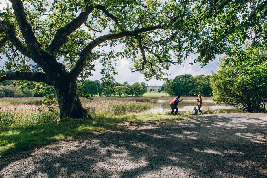 People taking photos with a backdrop of gardens and woodland in Emo Court
