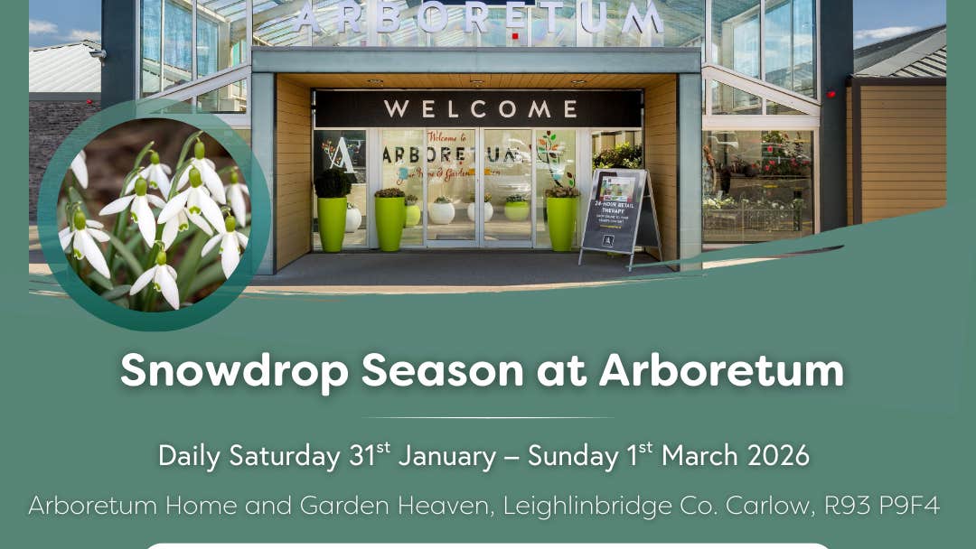 Poster for Carlow Snowdrop Time - Arboretum