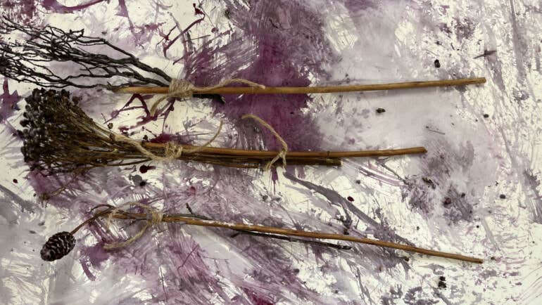 Science Week Workshops: Forgotten Corners of A City