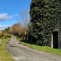 Cycle path next to the Royal Canal with bridge and ruins