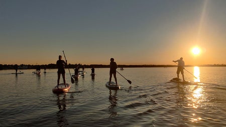 People standing on the boards paddling out to sea