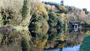 a wonder view of one of the lakes at the Castlecomer Discovery Park