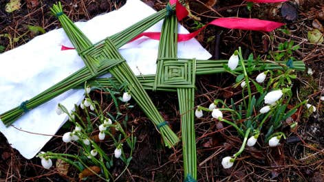 2 handmade green Brigid crosses on the ground with snowdrops and a white cloth