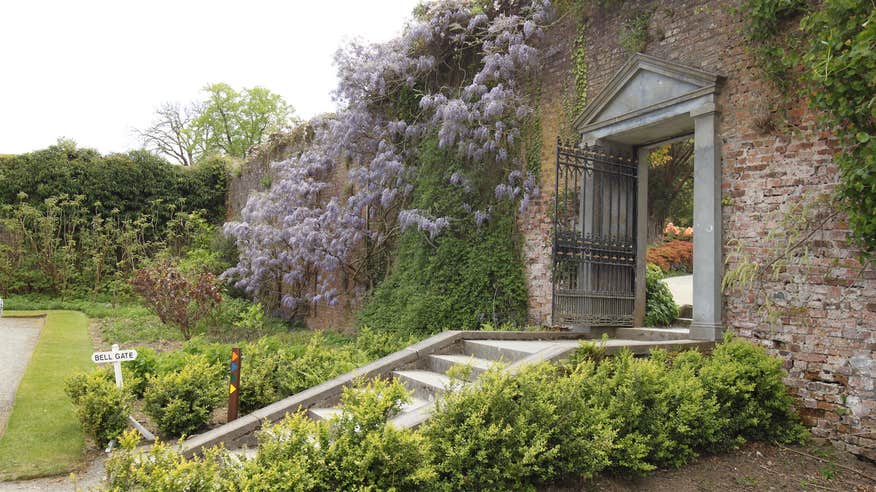 Inside the Mount Congreve Estate Gardens in County Warerford.