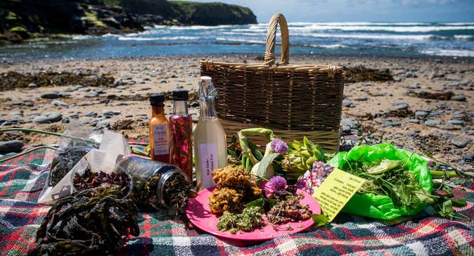 Wild Kitchen, Wild Food Walks on Land & Seashore