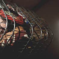 Trolley Boy – The World Premiere as Part of Dublin Fringe Festival