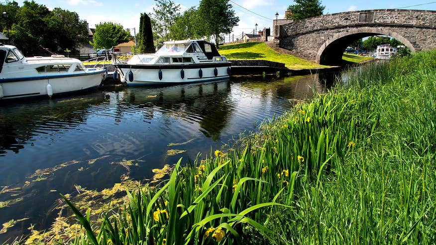 Boats docked beside a grassy bank near a bridge on the Shannon