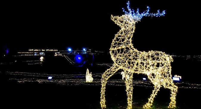 Adventure Lights at Skypark 2025, at night a large figure of a stag is lit up in yellow lights with blue antlers