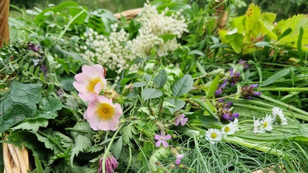 A woven basket with wild plants and flowers