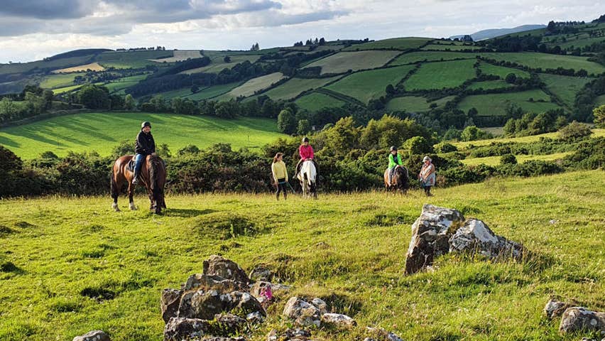 A group on horseback on a trek in a field with rocks on foreground