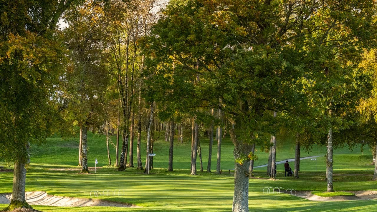 Trees on a golf course surrounding a sandy bunker