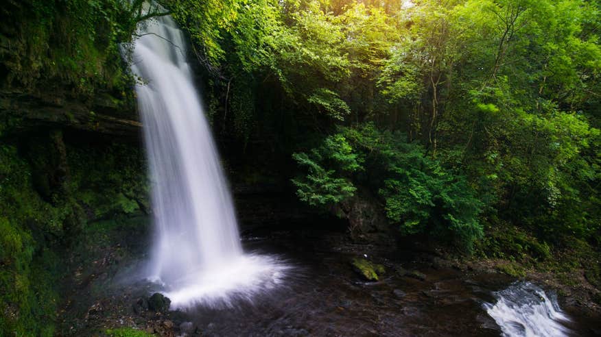 A cascading waterfall with a backdrop of rich greenery