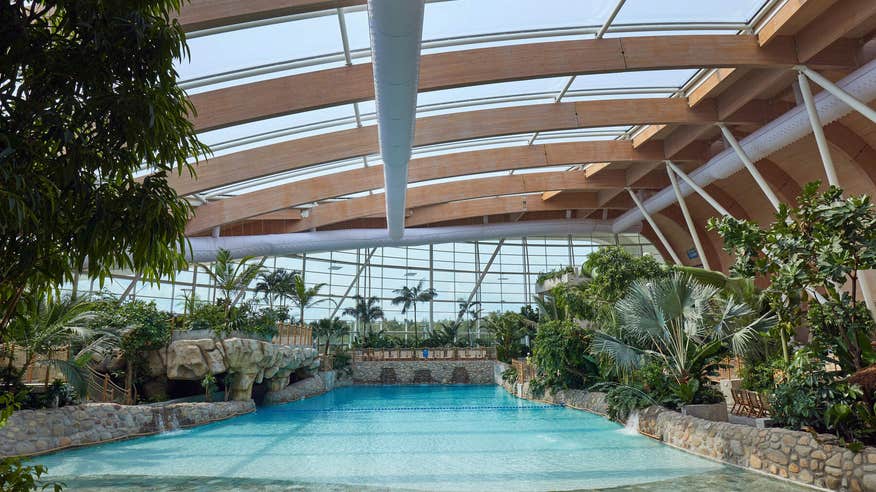 Indoor pool at Centre Parcs.