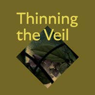 Thinning the veil event image