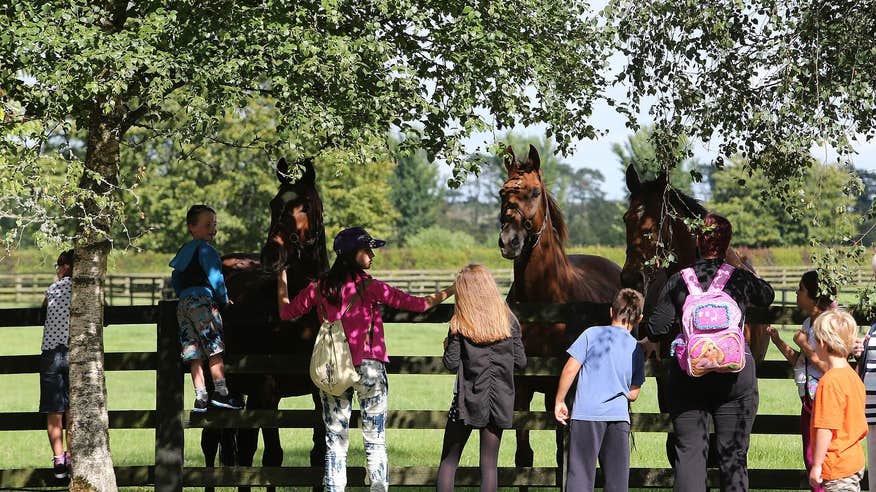 People petting horses at the Irish National Stud and Japanese Gardens, Co Kildare