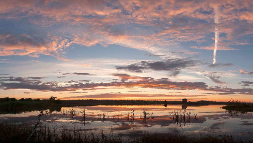 Landscape view
