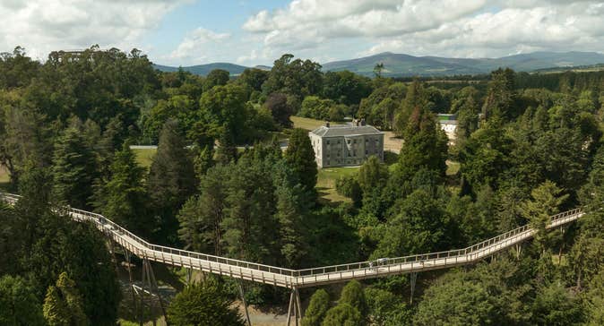 An aerial view of the treetop walkway with Avondale House in the background