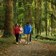 People hiking through Dun na Rí Forest Park in Co Cavan