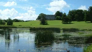 Curraghchase Forest Park