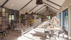 Picture of Restaurant