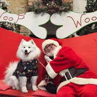 Santa Paws at Newbridge House & Farm