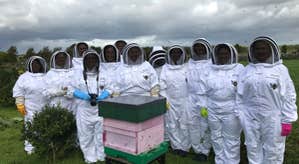 Leahy Beekeeping