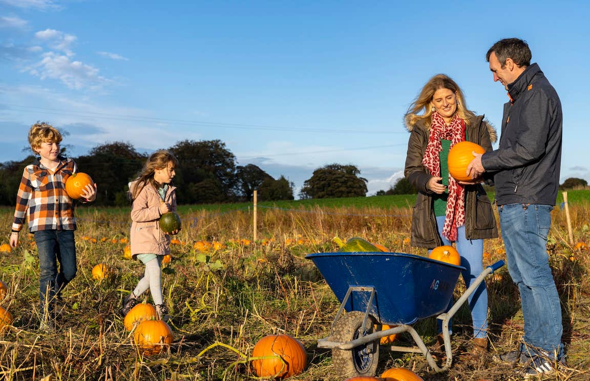 A family at a pumpkin patch